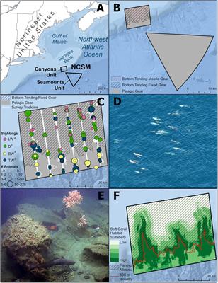 Opening a Marine Monument to Commercial Fishing Compromises Species Protections